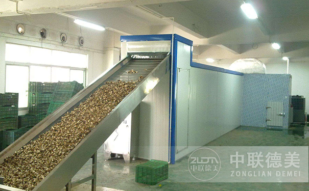 香蕉片烘干機(jī)